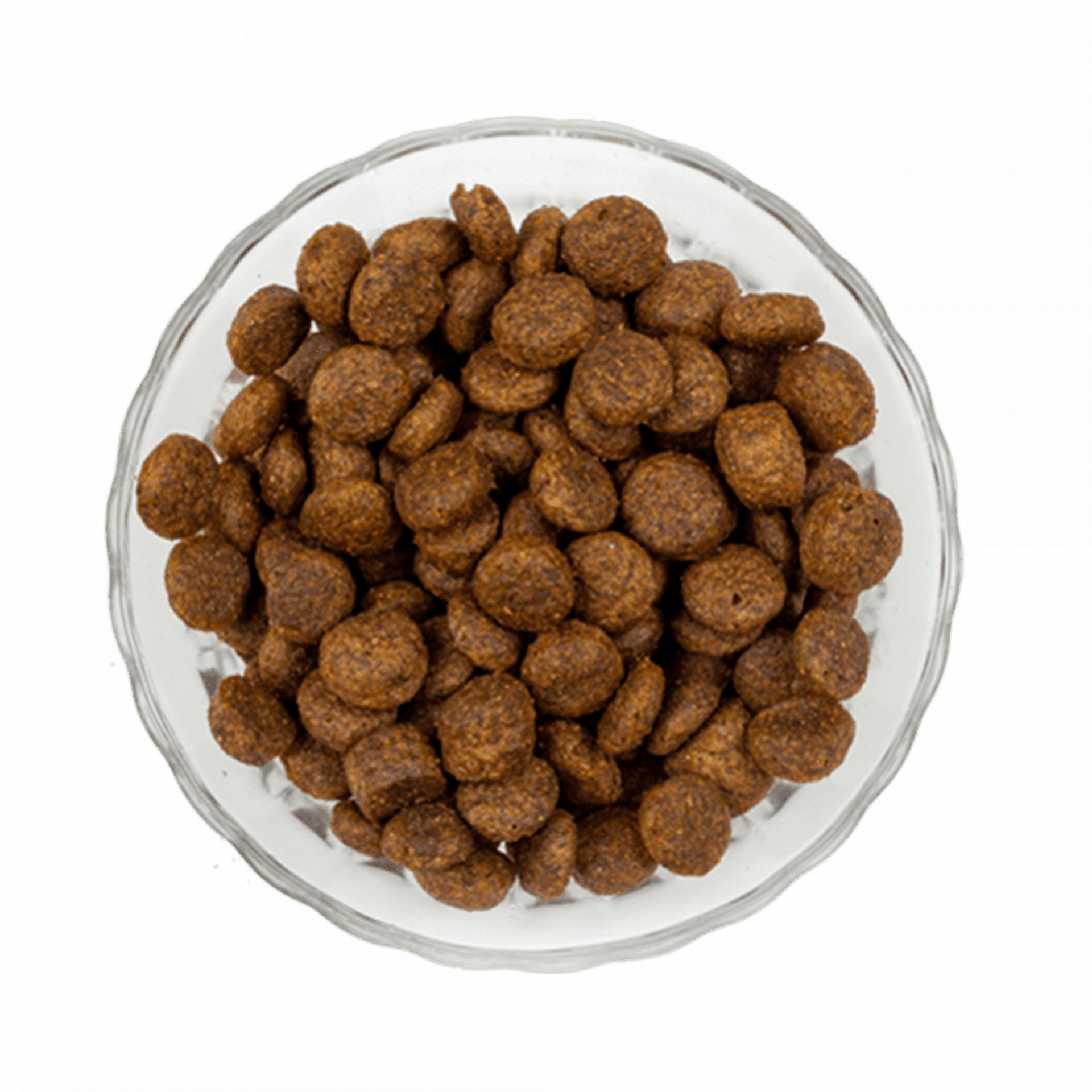 Pienso Natural de Salmón para Cachorros - 2