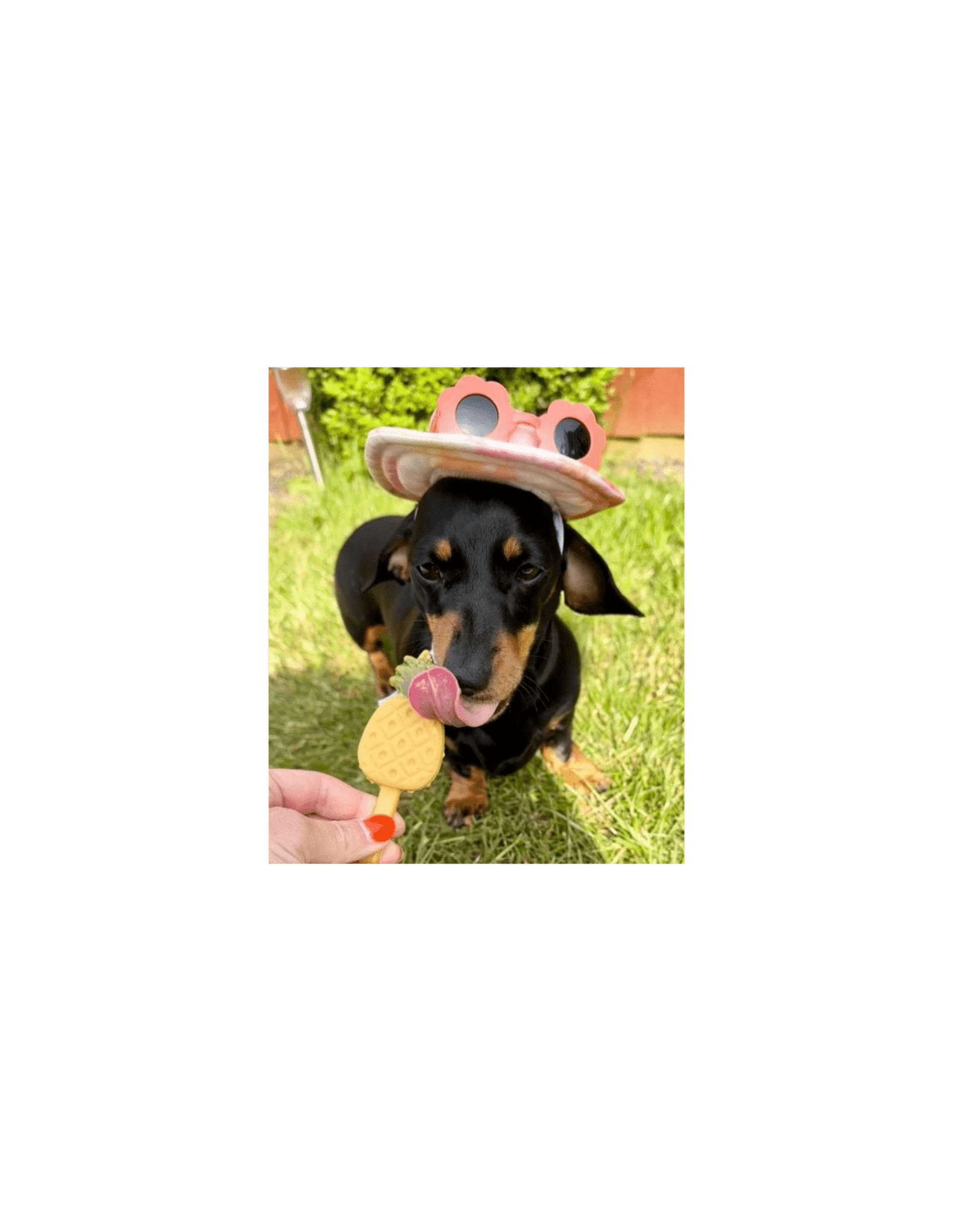 Helado Fruity piña. Pup Ice - 2