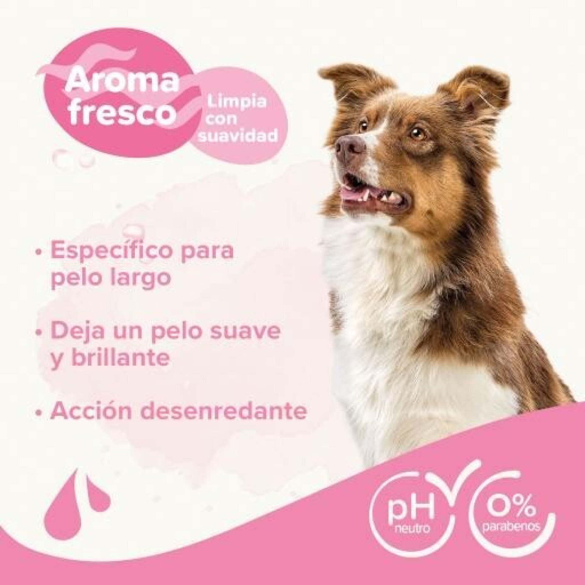Beaphar Champú para Perros de Pelo Largo - 4