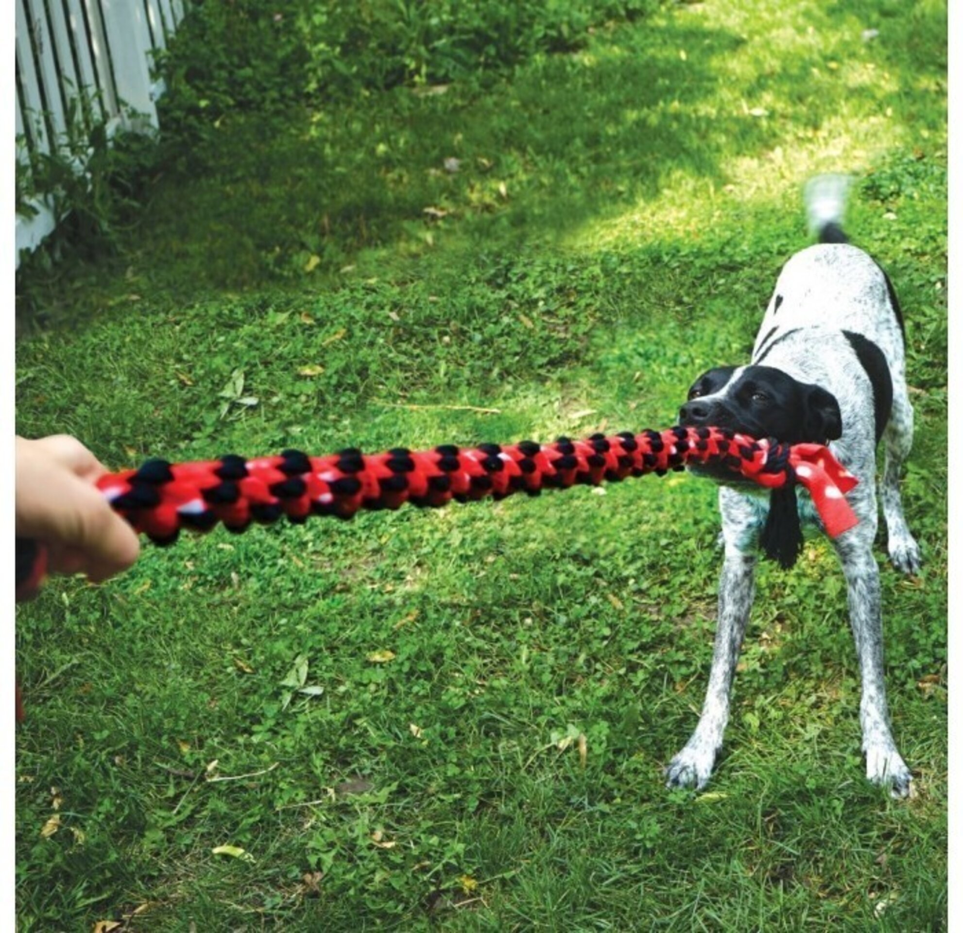 KONG  Signature Rope con Doble Tirador - 3