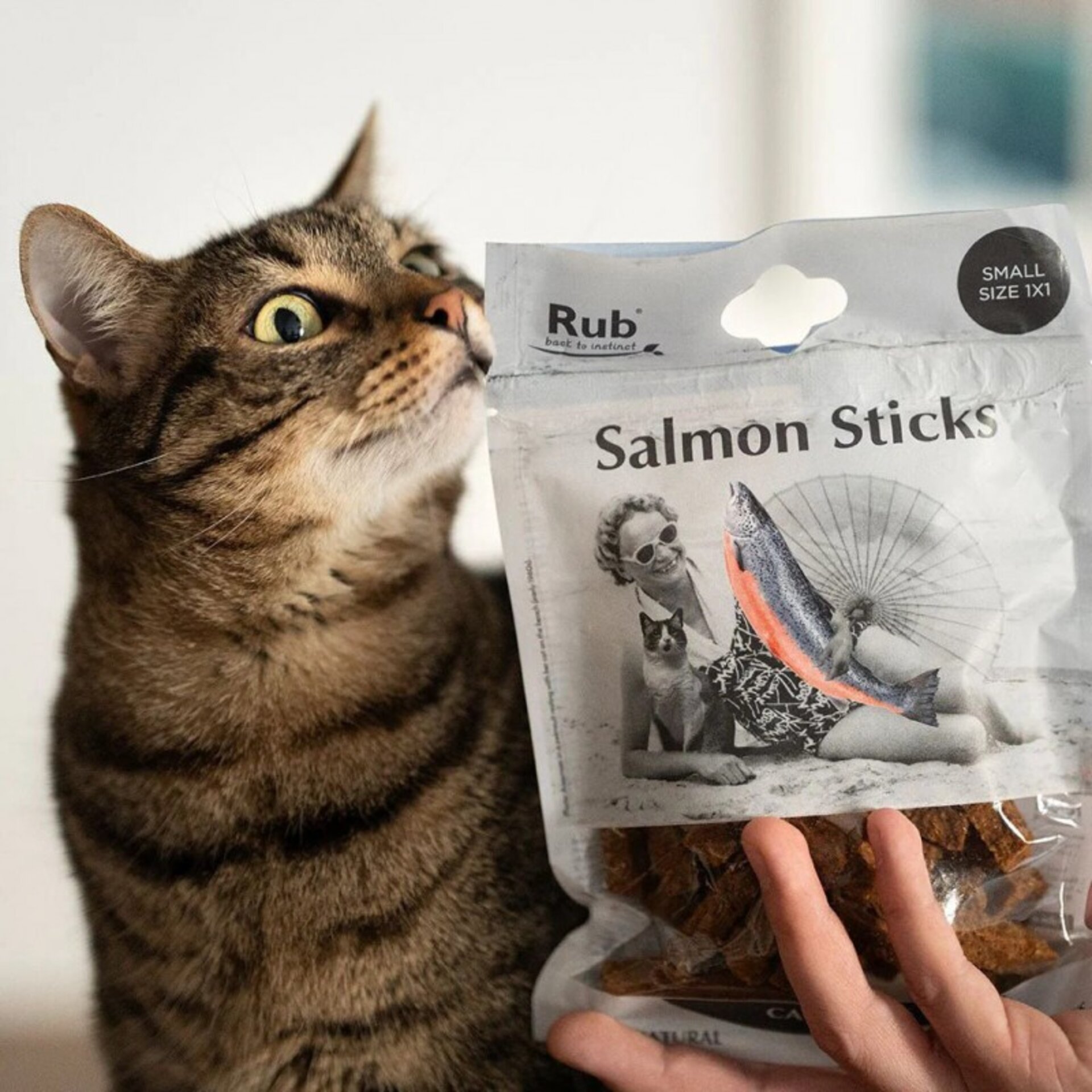 Premio Rub Stick Dental de Salmón para Gatos 100g - Small Size 1x1 - 2