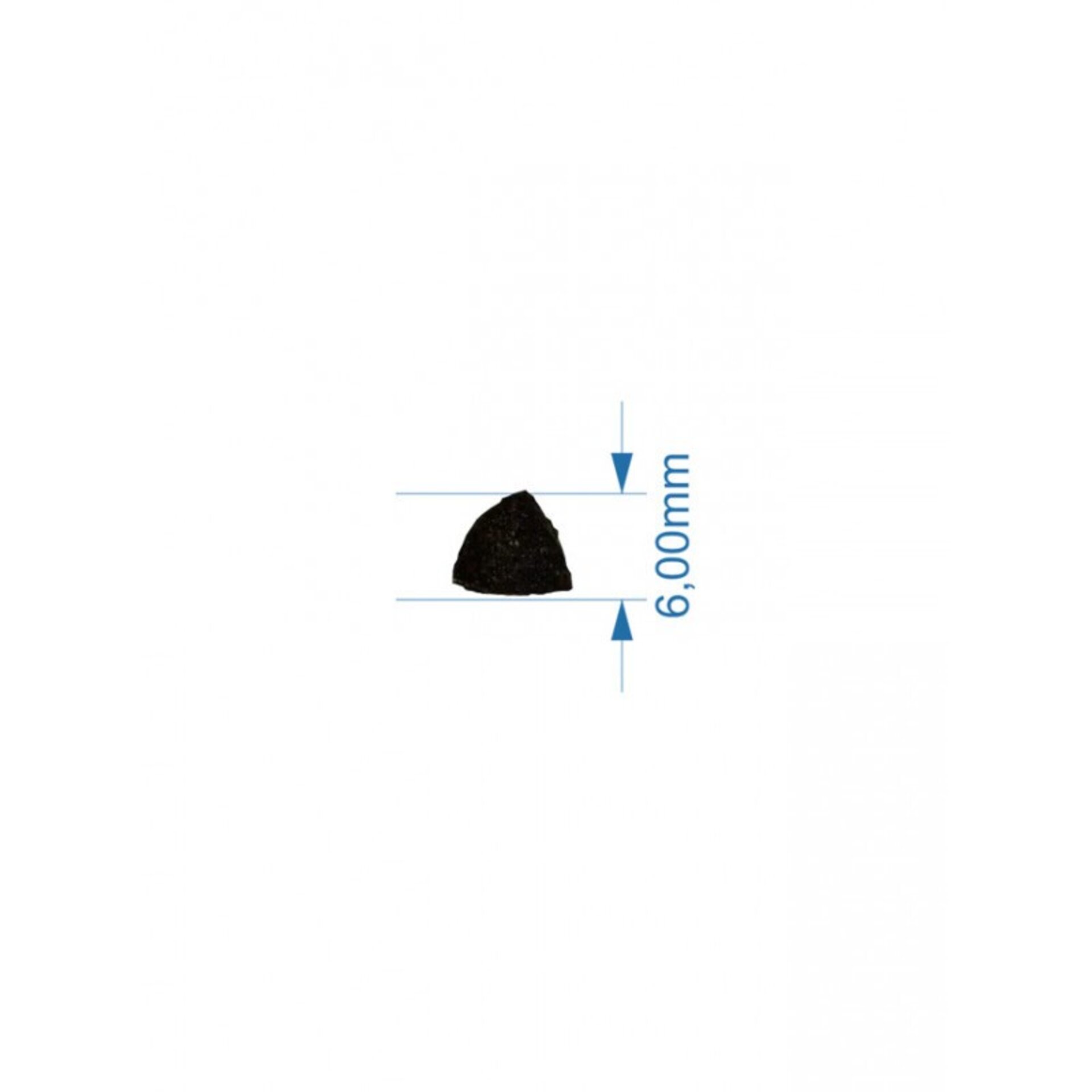 Lenda Puppy Medium - 2