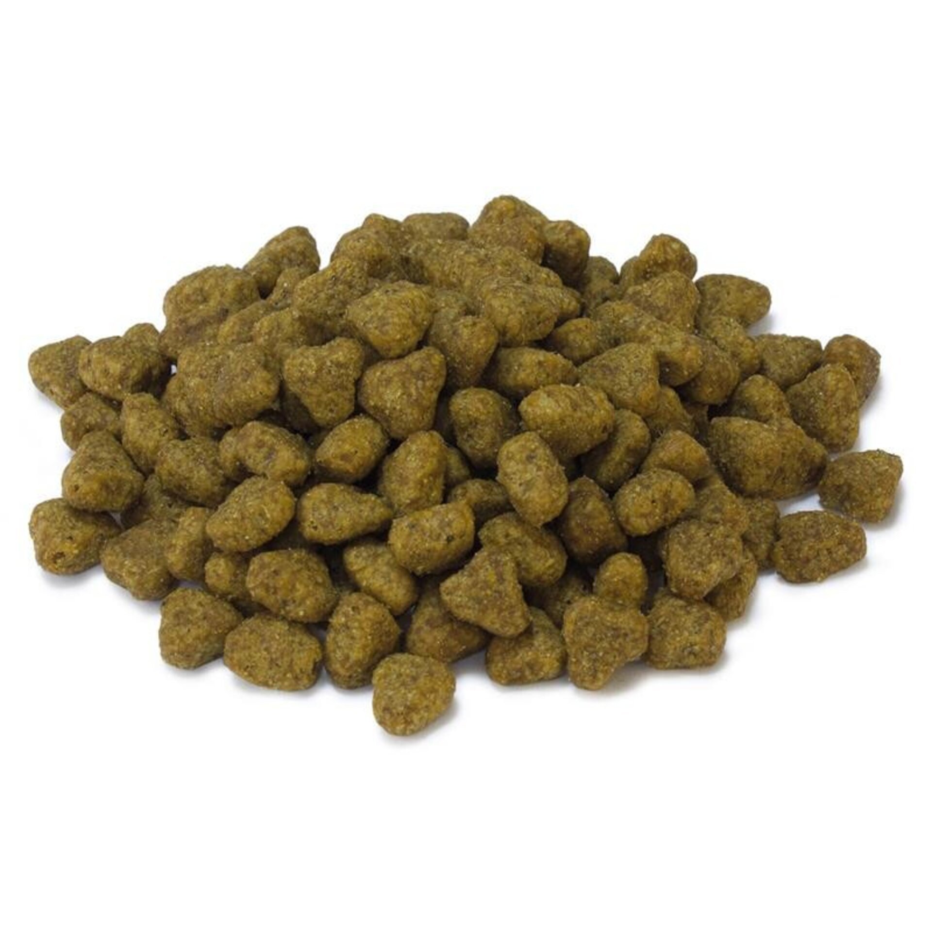 Arquivet Sterilized / Pavo - 7