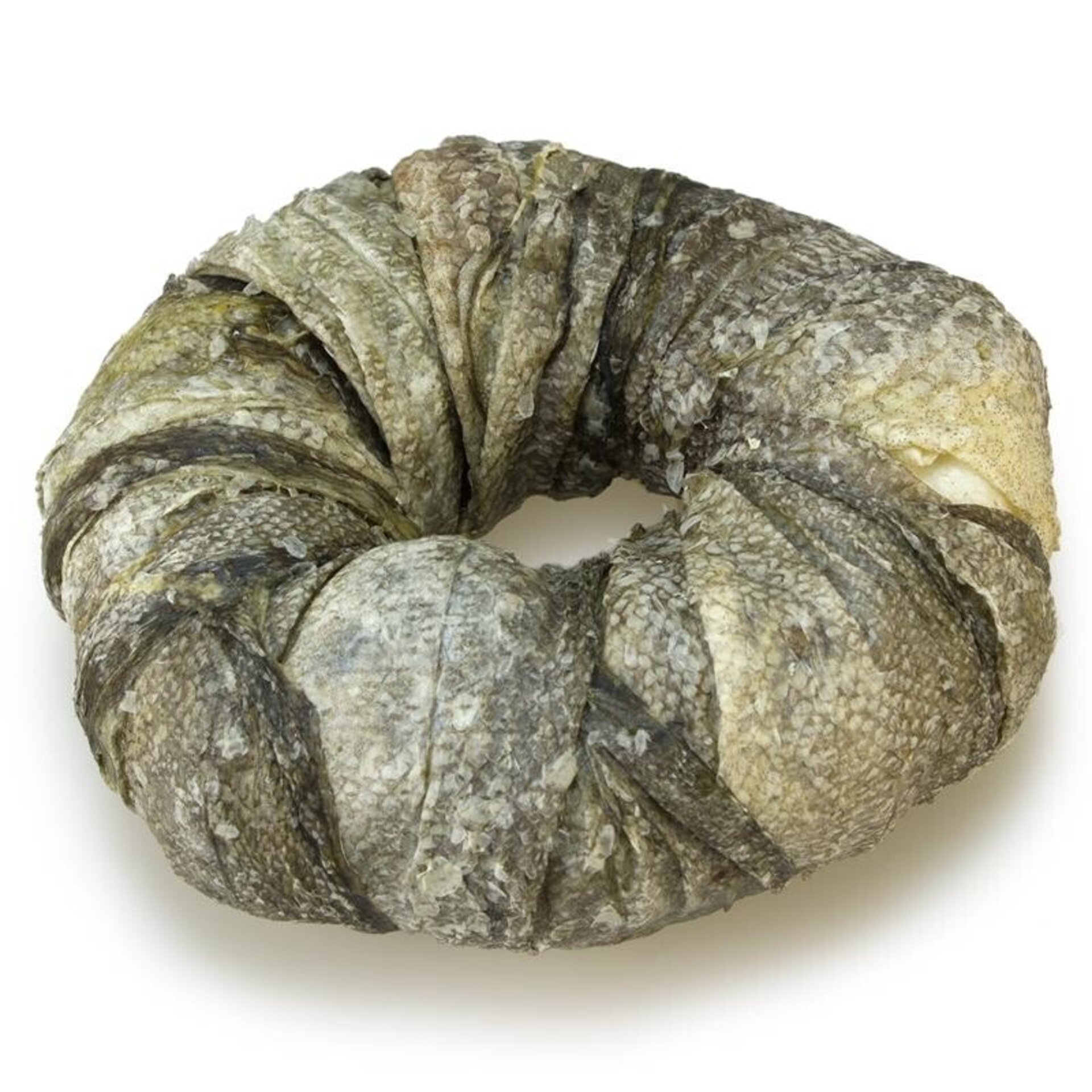 Aros masticables con Bacalao - bolsa 2 unidades - 2