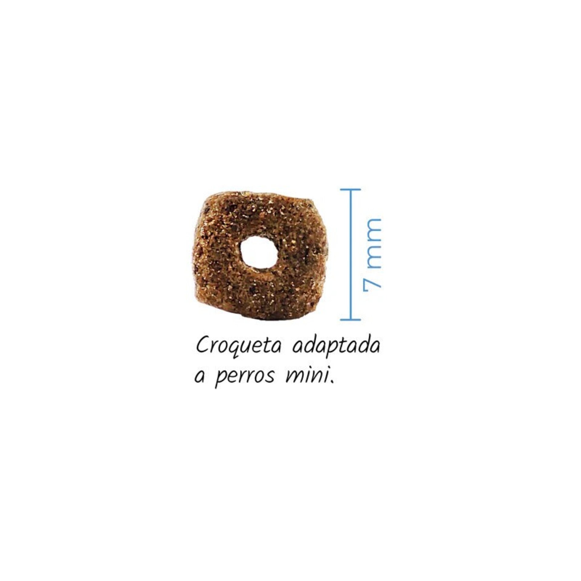 Lenda Mini Hypoallergenic Skin & Coat - 4
