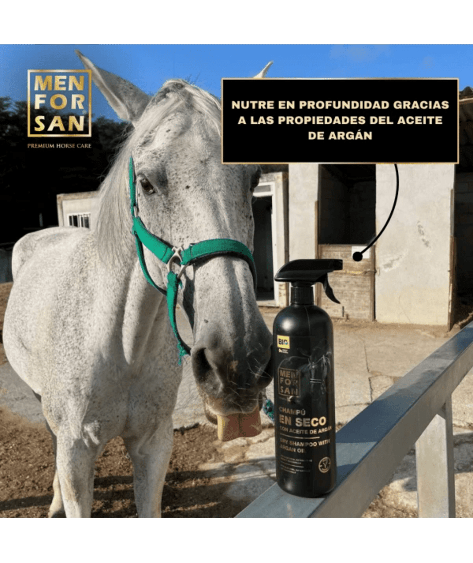 Champú en seco con aceite de argán para caballos 1L - 3
