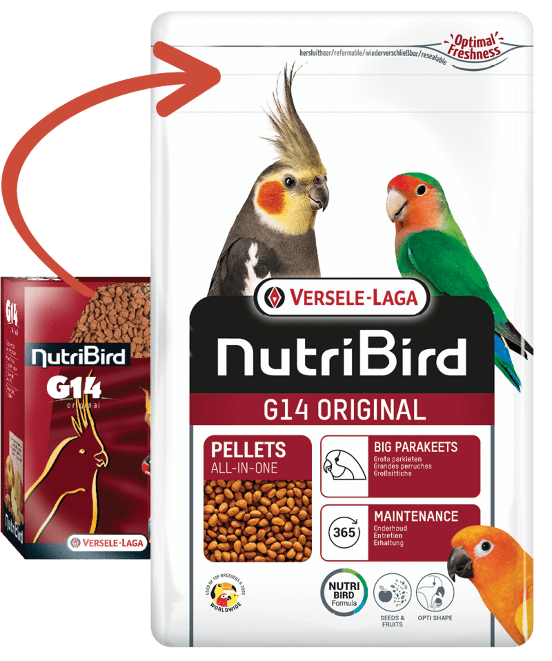 Versele Laga Nutribird G14 Original Periquitos Grandes 1kg - 2