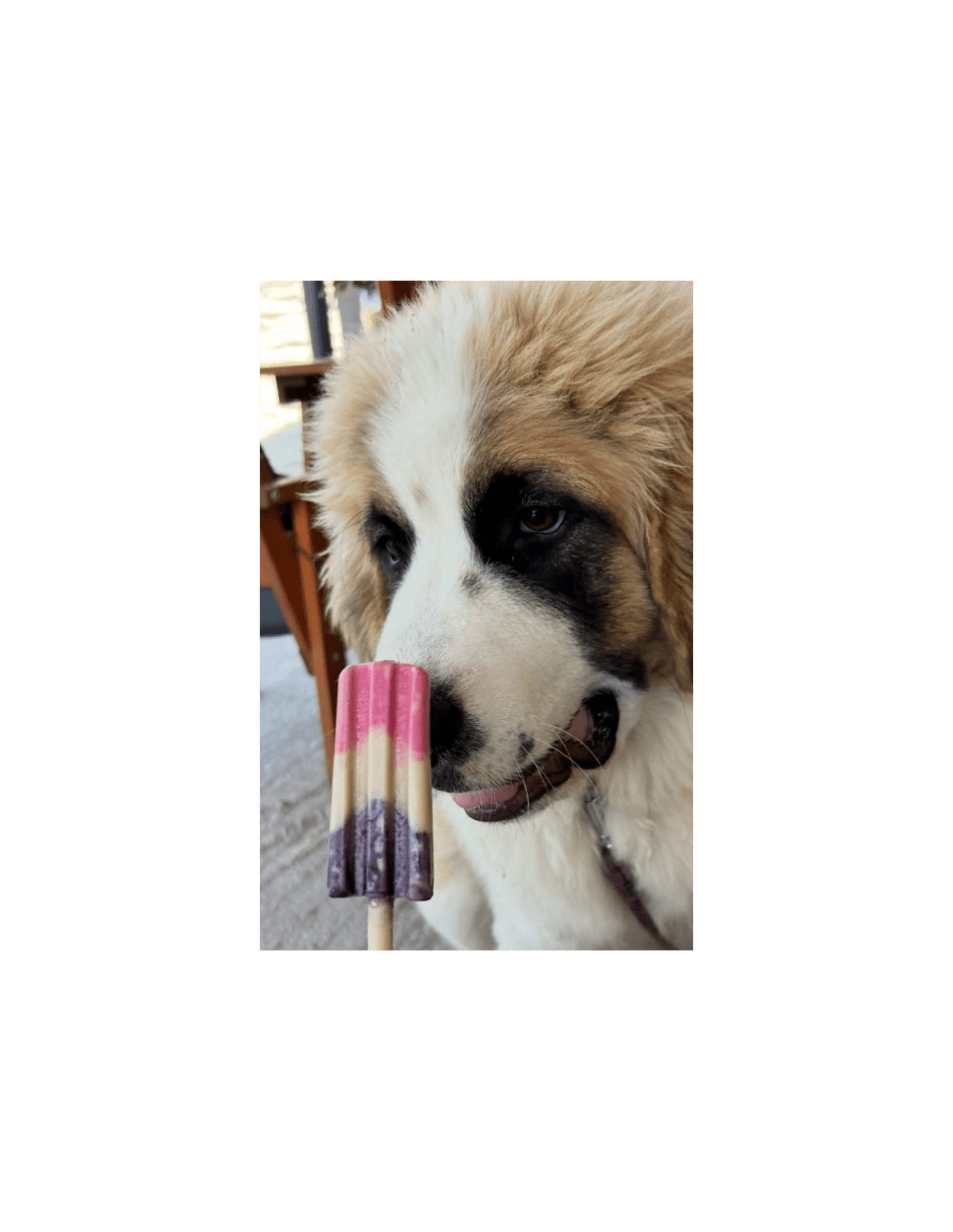 Helado de fresas y arándanos. Pup Ice Rocket - 2