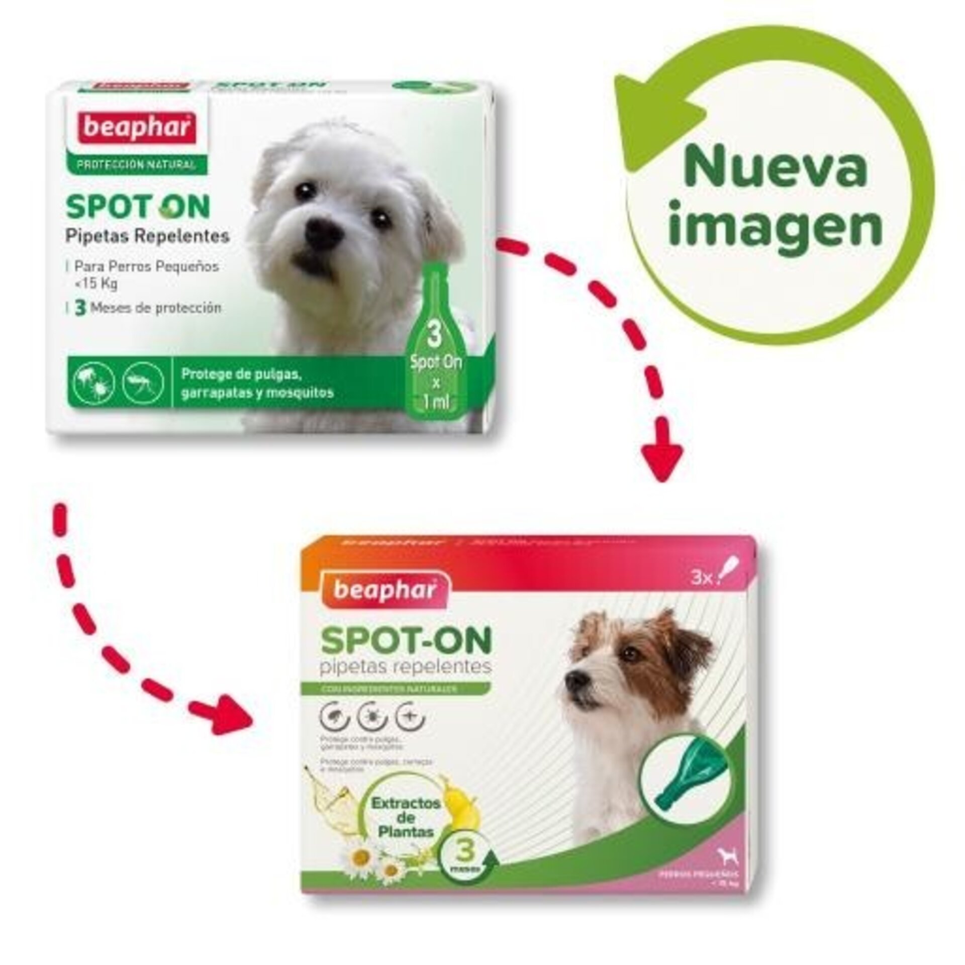 Beaphar Pipetas Antiparasitarias para Raza Pequeña >15 Kg - 2