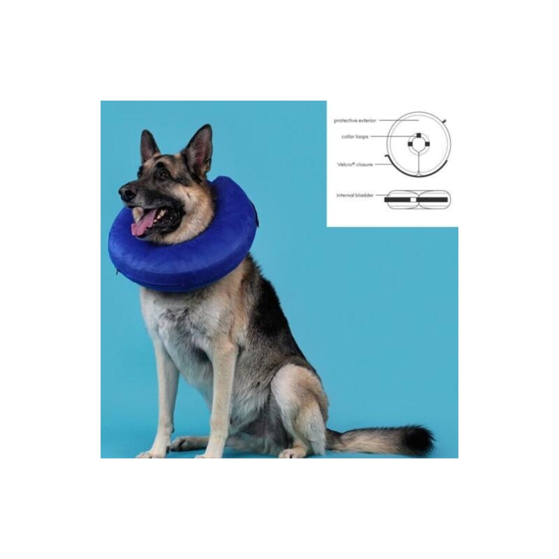 KONG Collar Isabelino Cloud Azul para Perro y Gato - 3