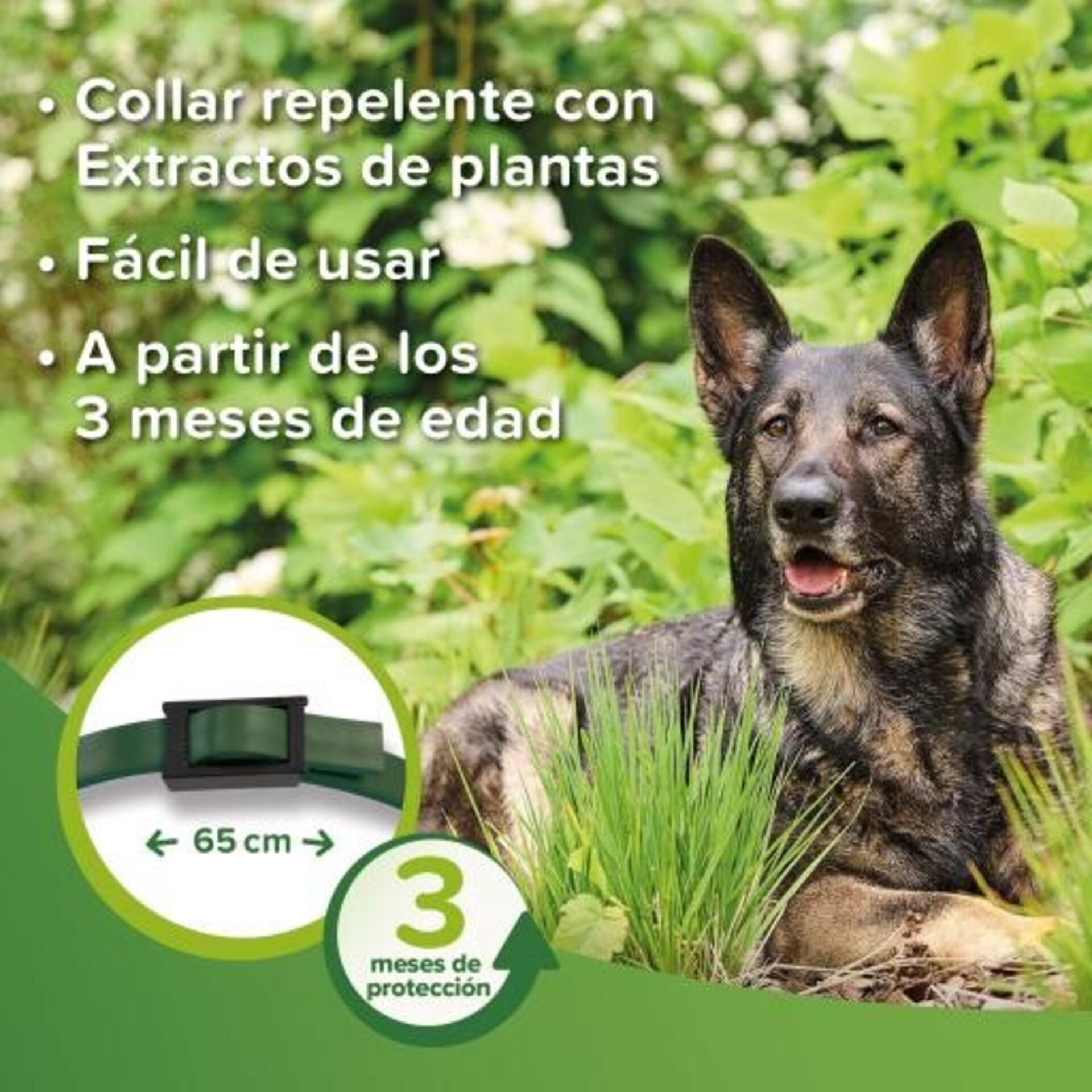 Beaphar Collar Bio Band Repelente para Perro - 3