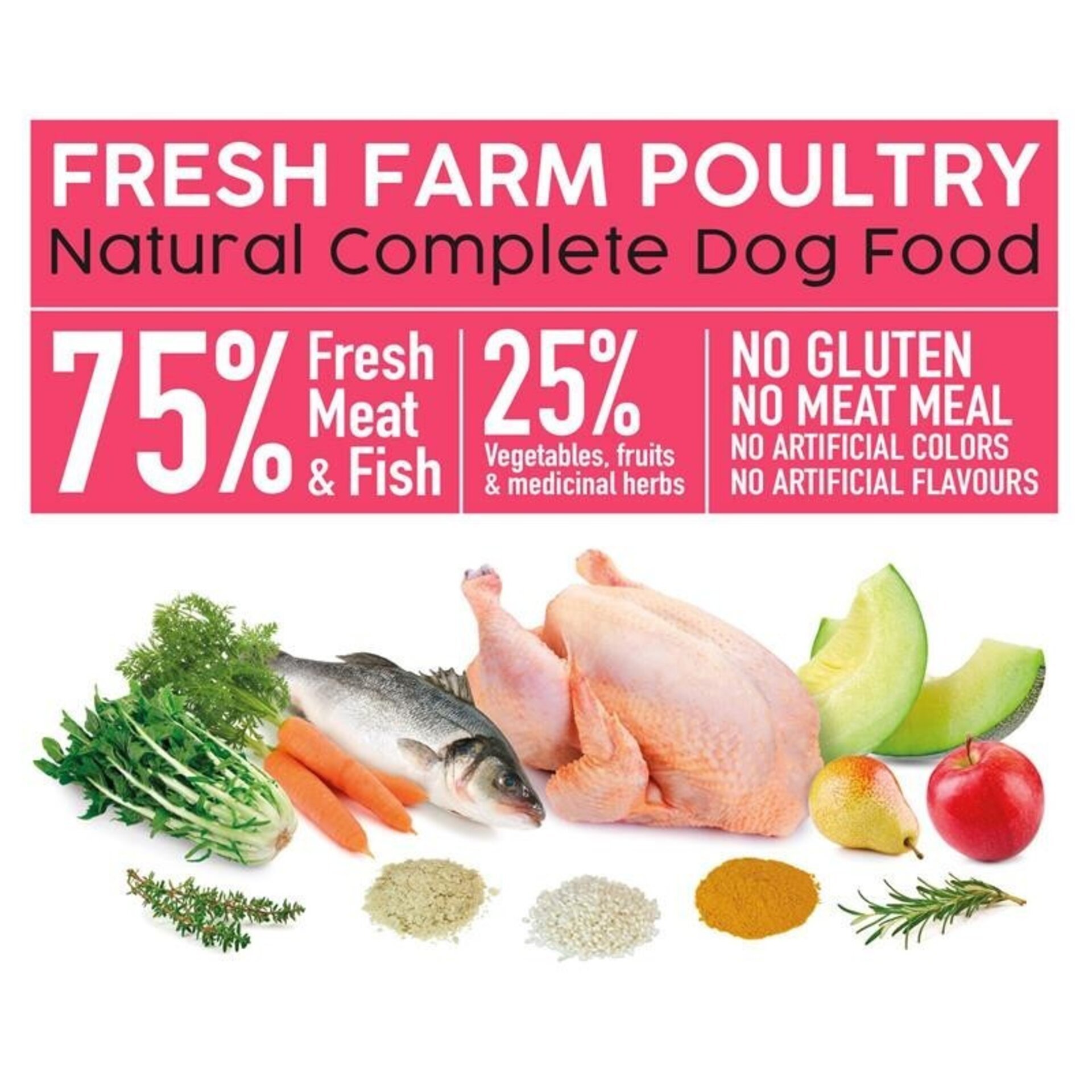 Fresh faem poultry - Pollo fresco de corral - 6