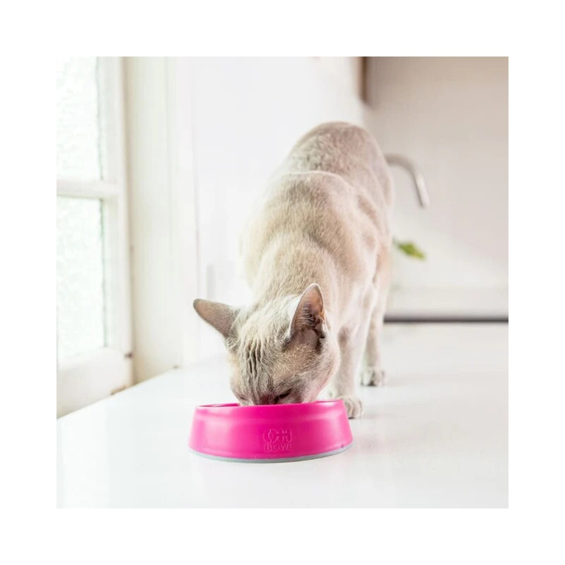LickiMat Cat Oh Bowl - 3