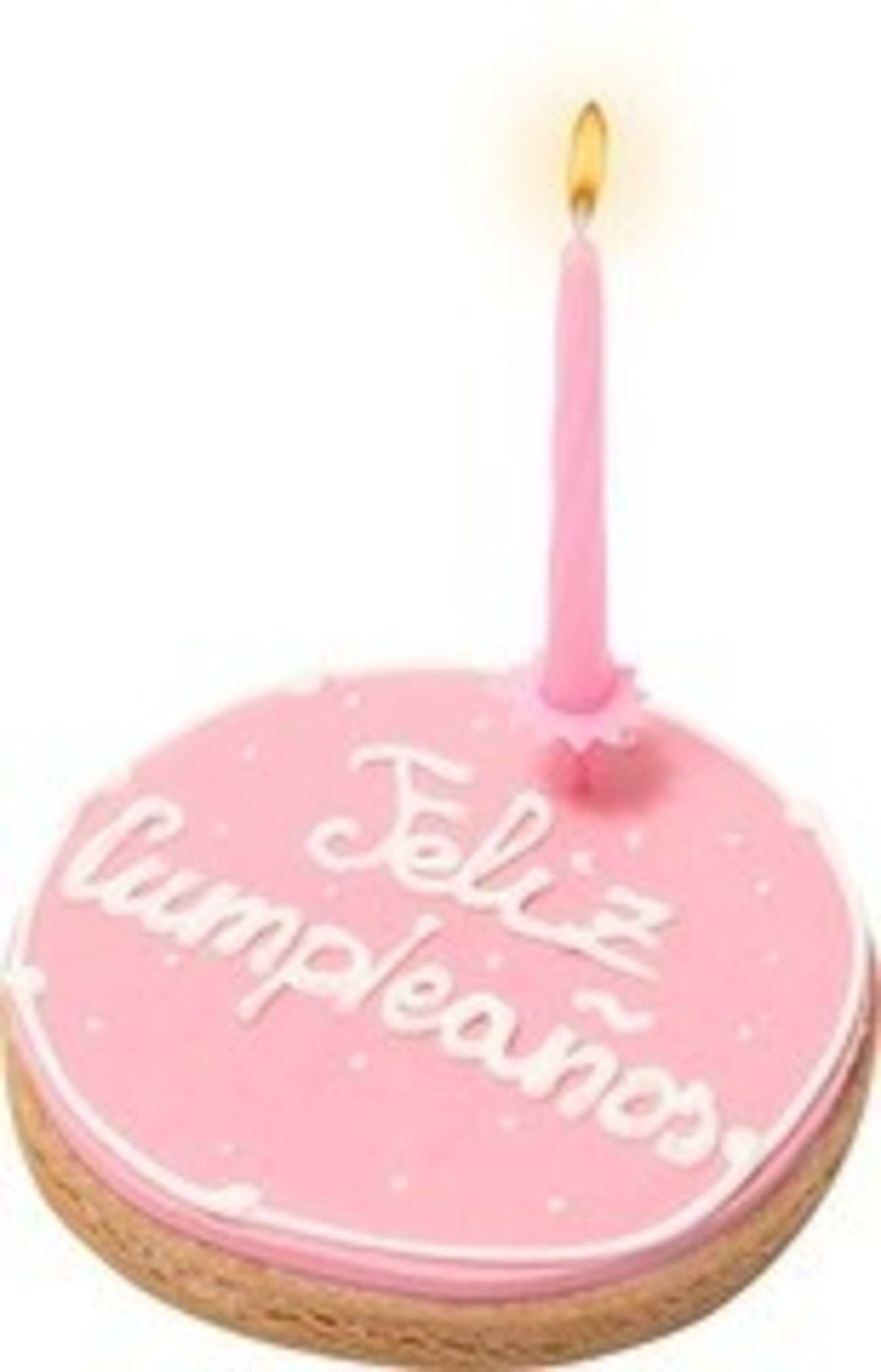 Doggyebag tarta de cumpleaños para perro rosa 120g - 2