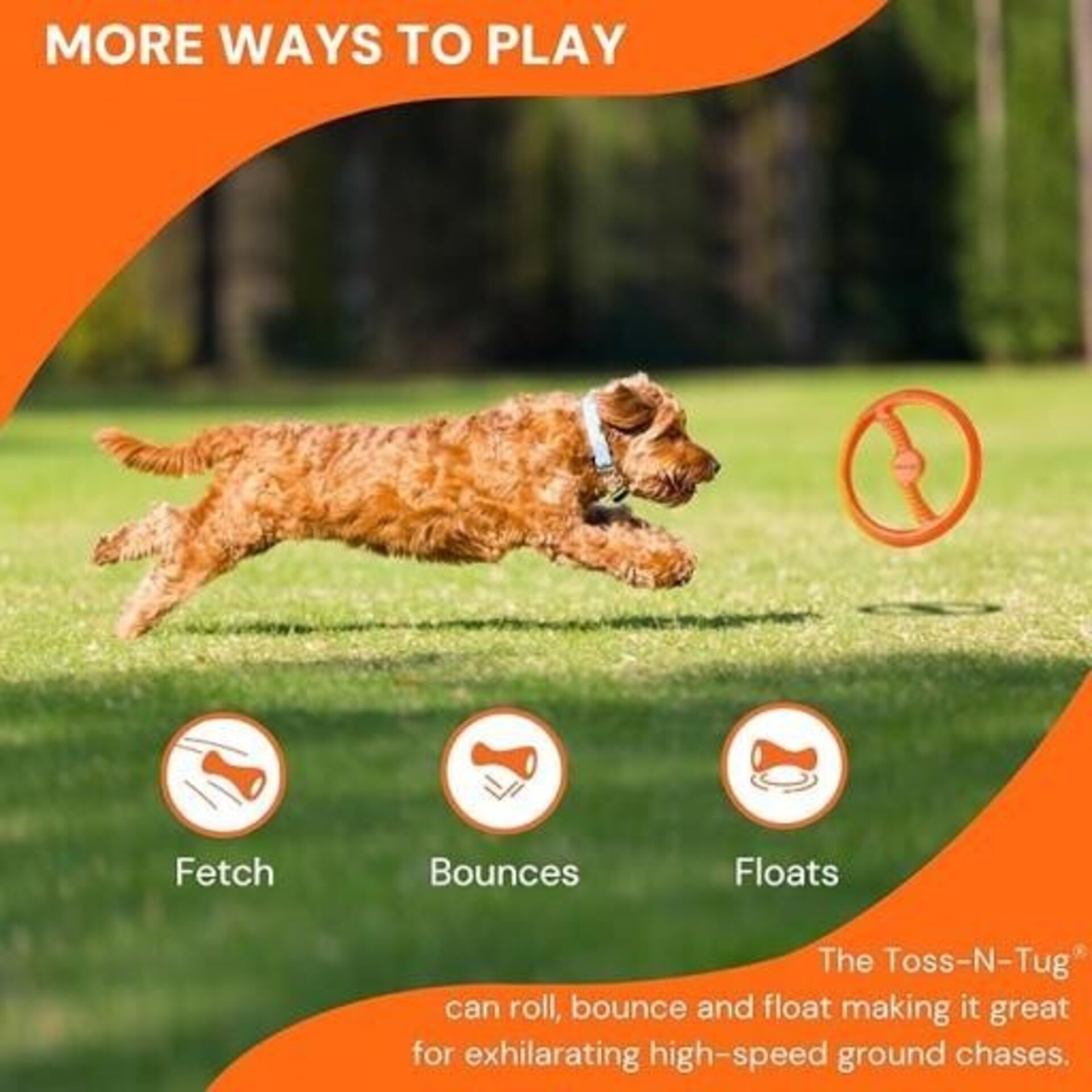 Bionic Disco Toss-N-Tug Resistente para Perros - 5