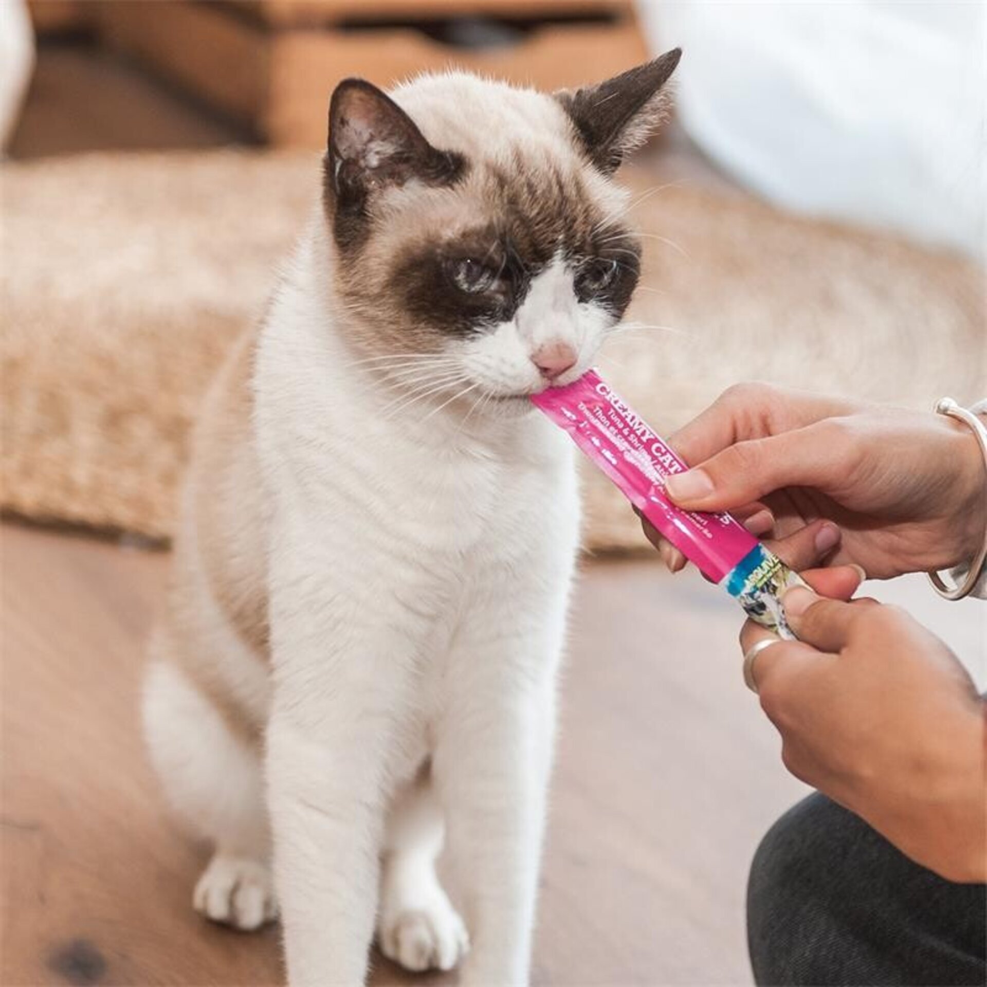 Creamy Cat Treats - Snack cremoso de Salmón y gambas (Bolsa con 5 sobres de 14 g - 3