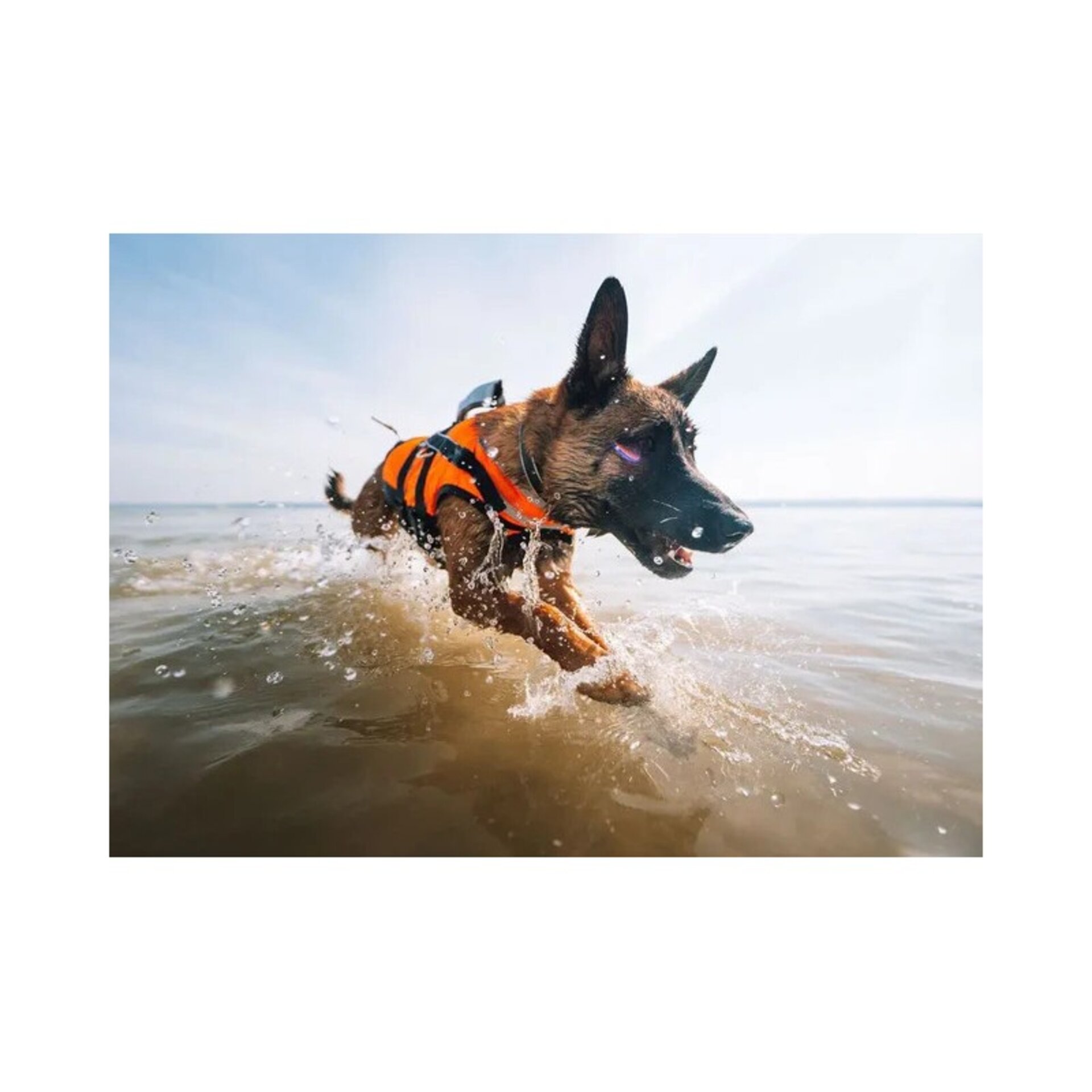 Non-stop Chaleco Salvavidas Safe Life Jacket 2.0 - 3