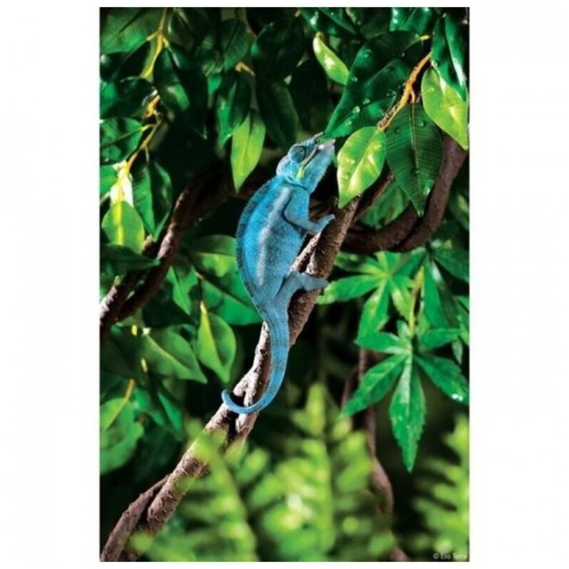 Exo Terra Jungle Vine Planta Liana para terrarios - 2