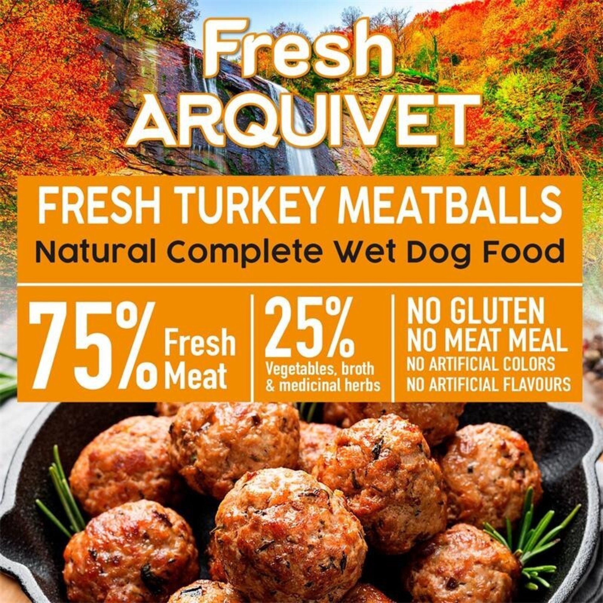 Fresh Turkey Meatballs / Albóndigas con pavo brocoli y calabaza - 2