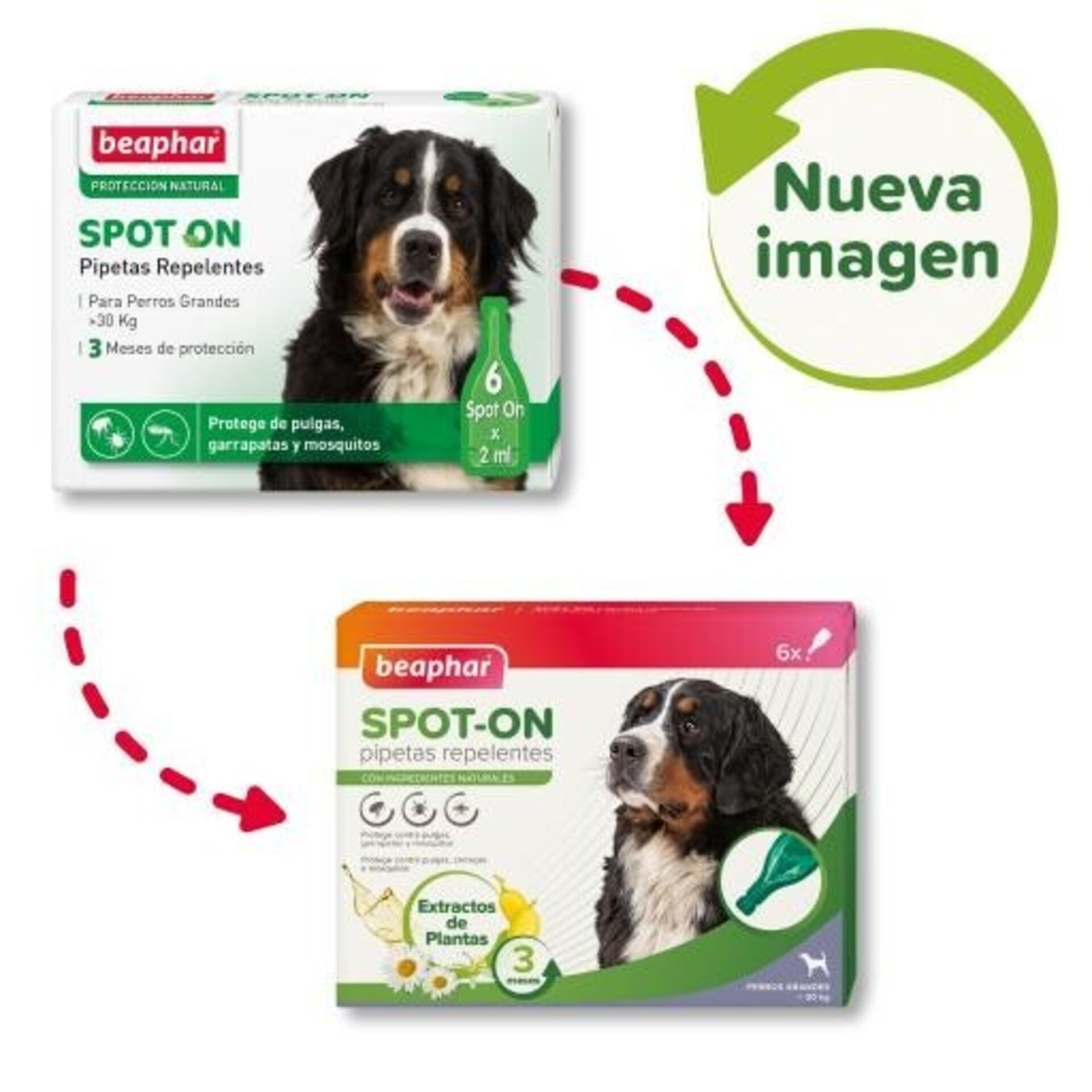 Beaphar Pipetas Antiparasitarias para Perros Grandes +30 kg - 2