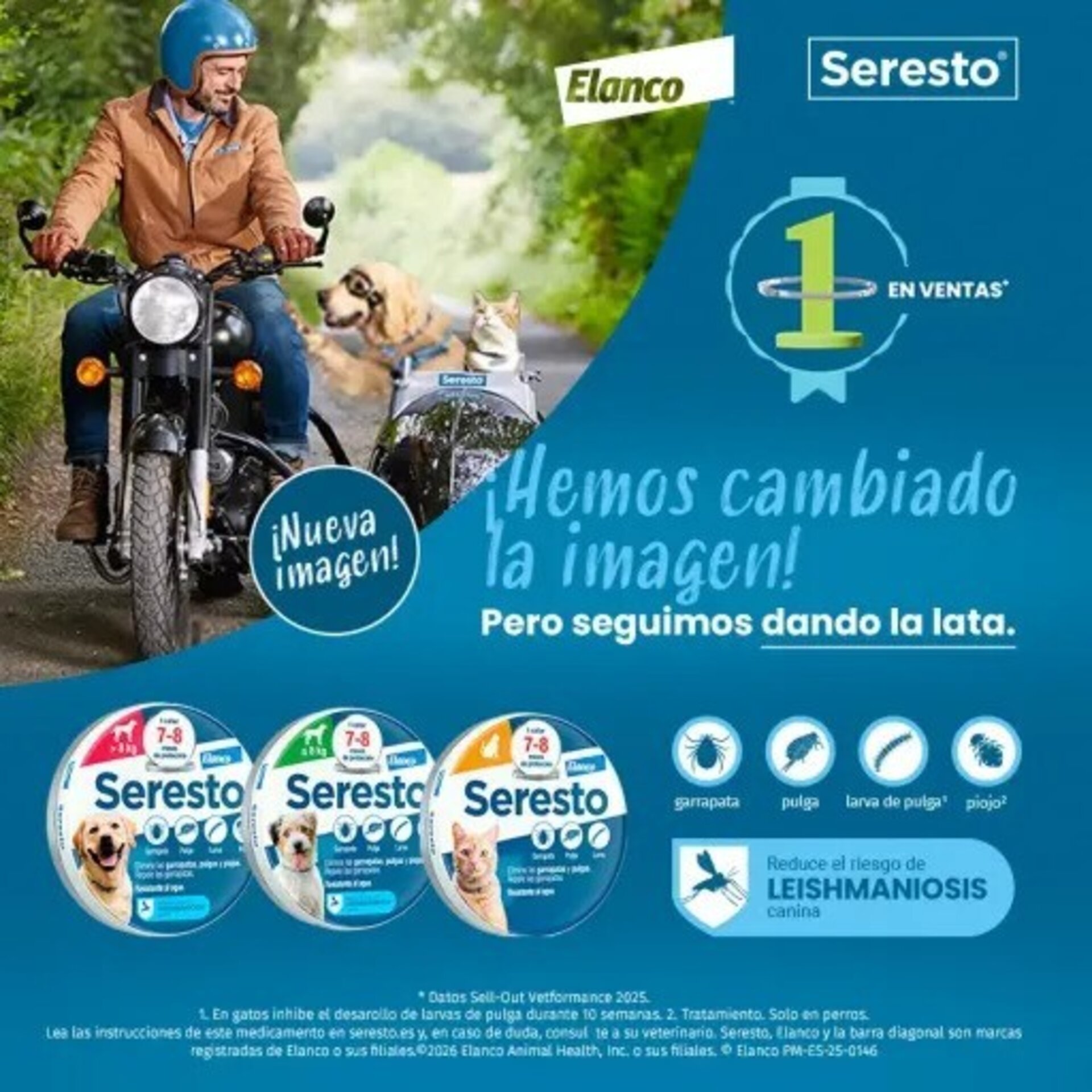 Seresto Collar Antiparasitario para Perros - 5