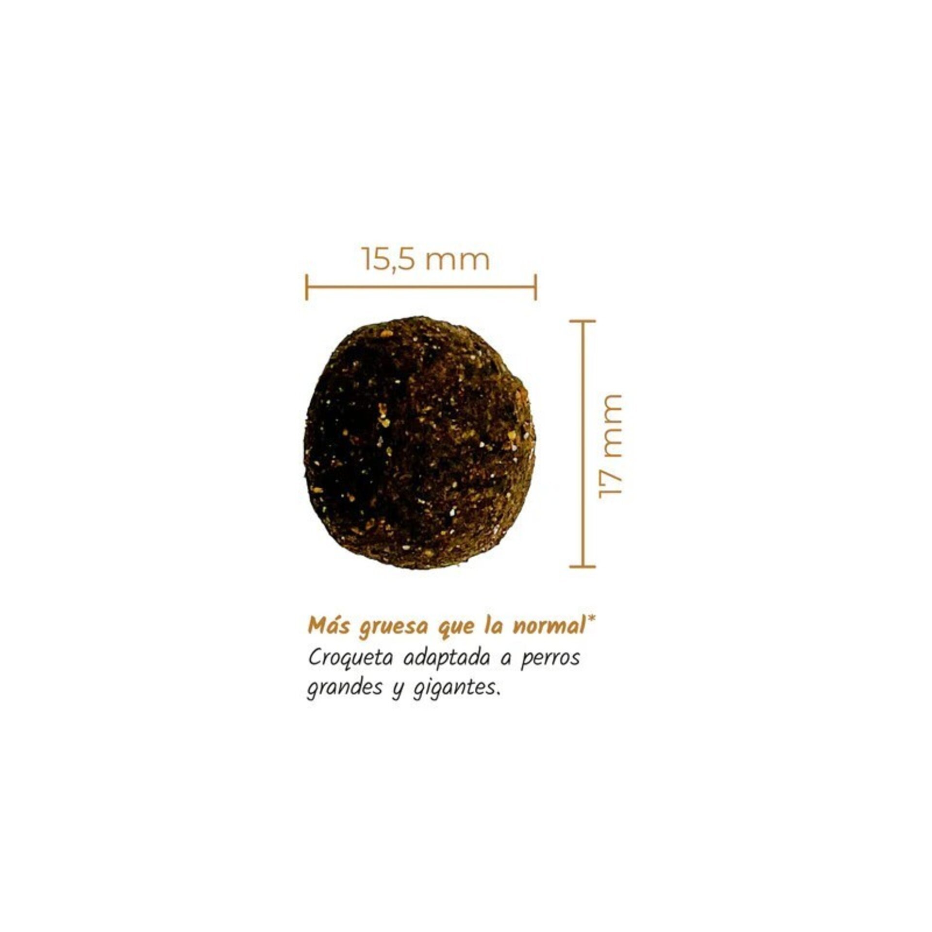 Lenda Adulto Pollo Maxi 12KG - 2