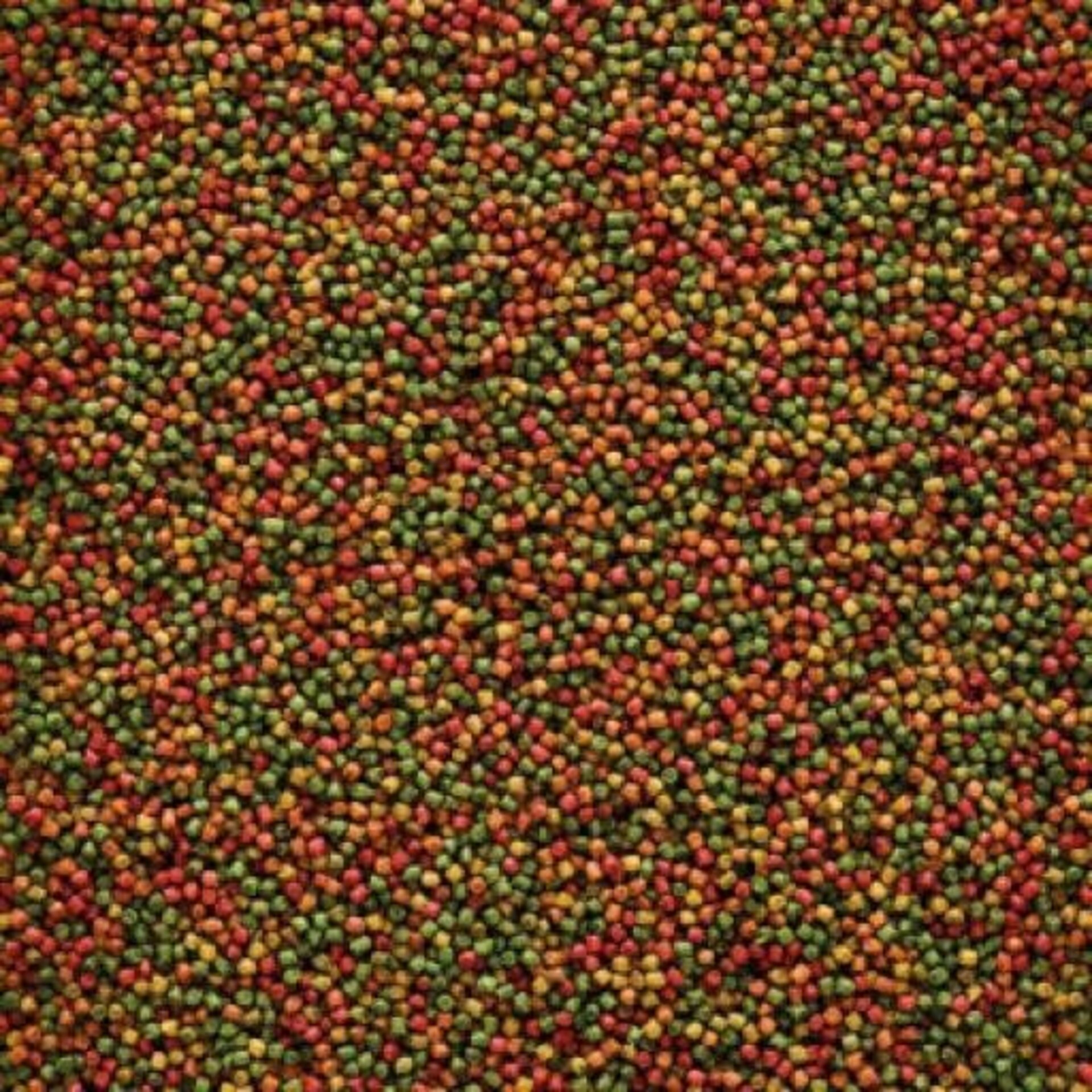 Versele Laga Pienso Nutribird C19para Pájaros de Cría - 3