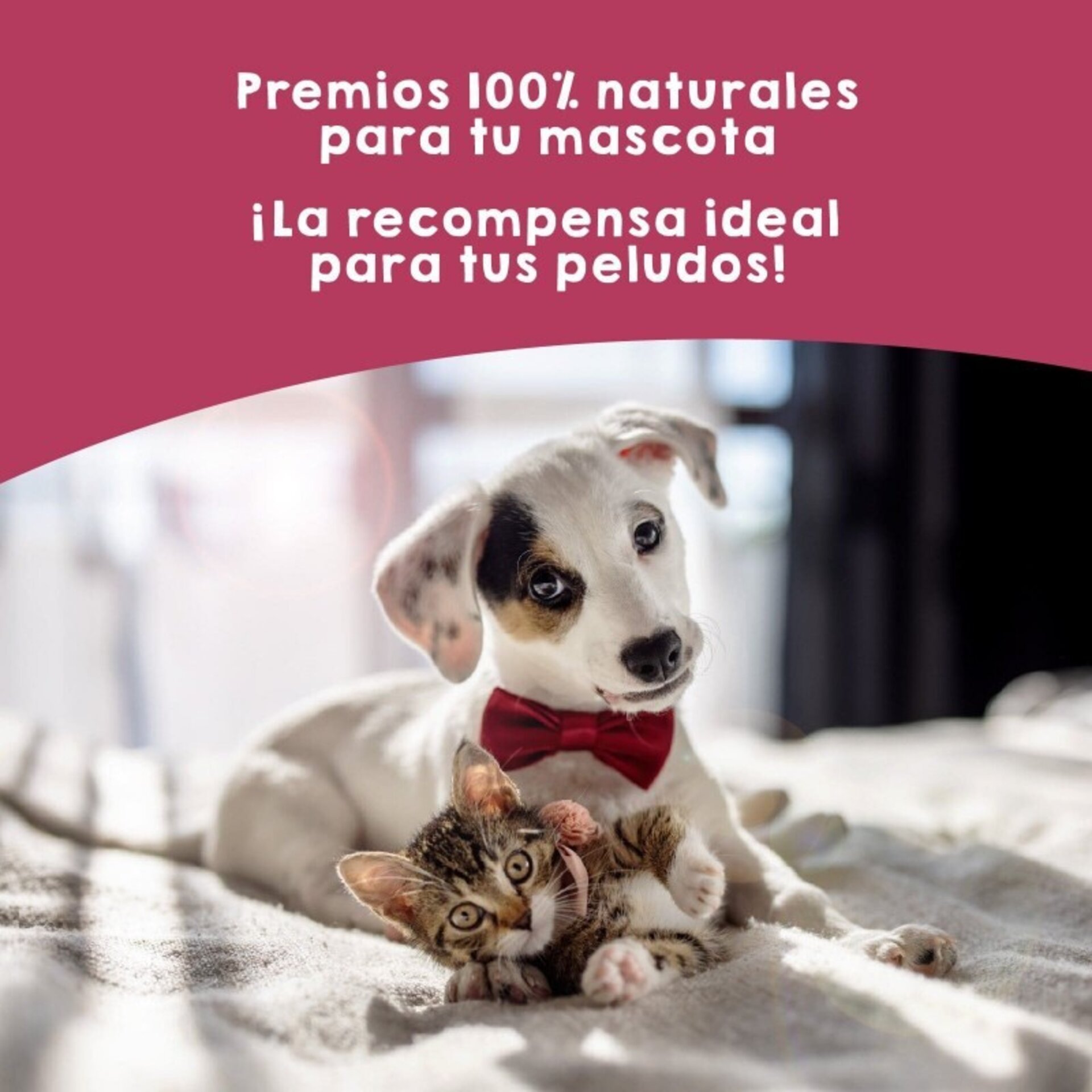 Snacks de Pulmones de Ternera para perros y gatos – 80g - 5