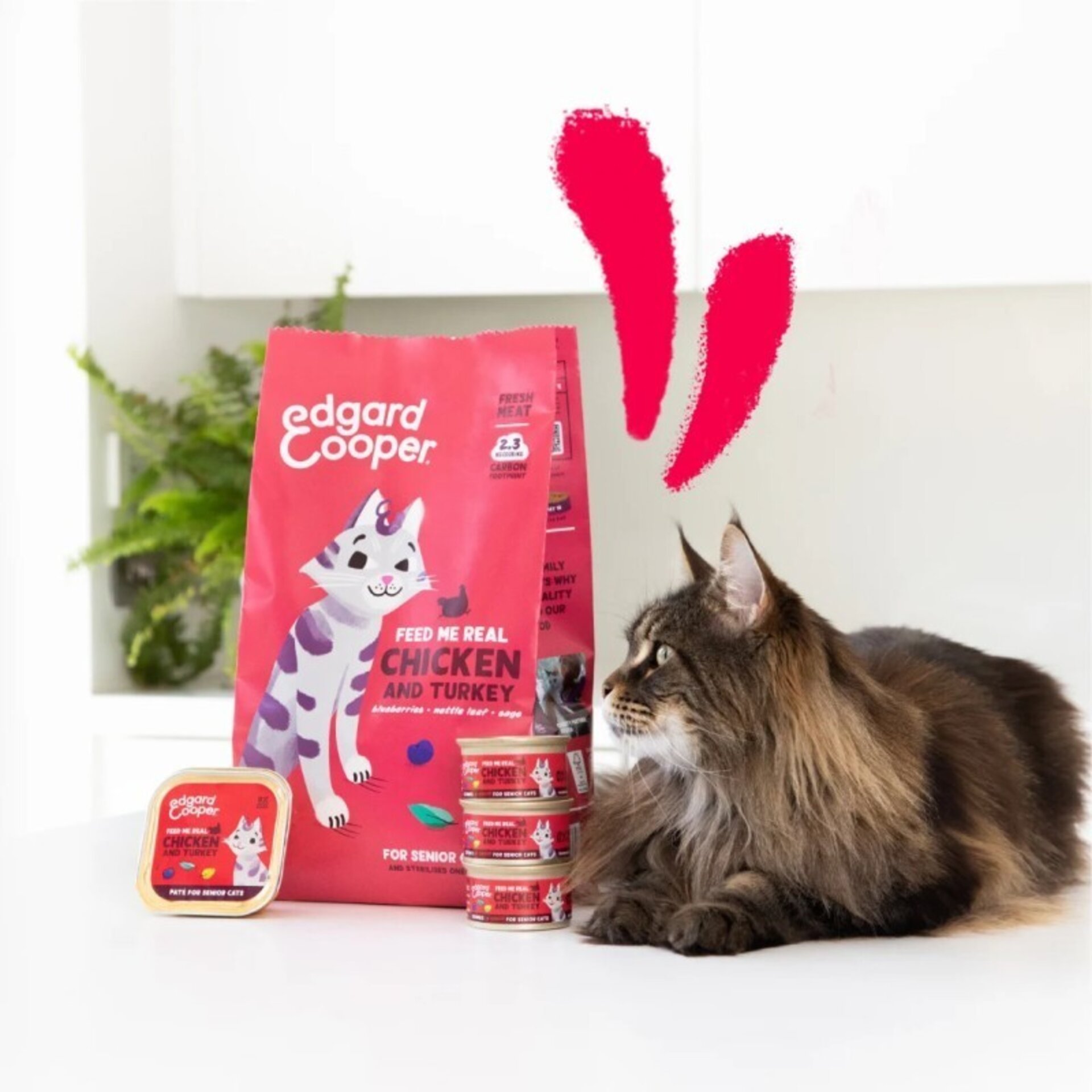 Edgar & Cooper Pollo y Pavo Senior Trocitos en Salsa 85 Gr para Gatos - 3