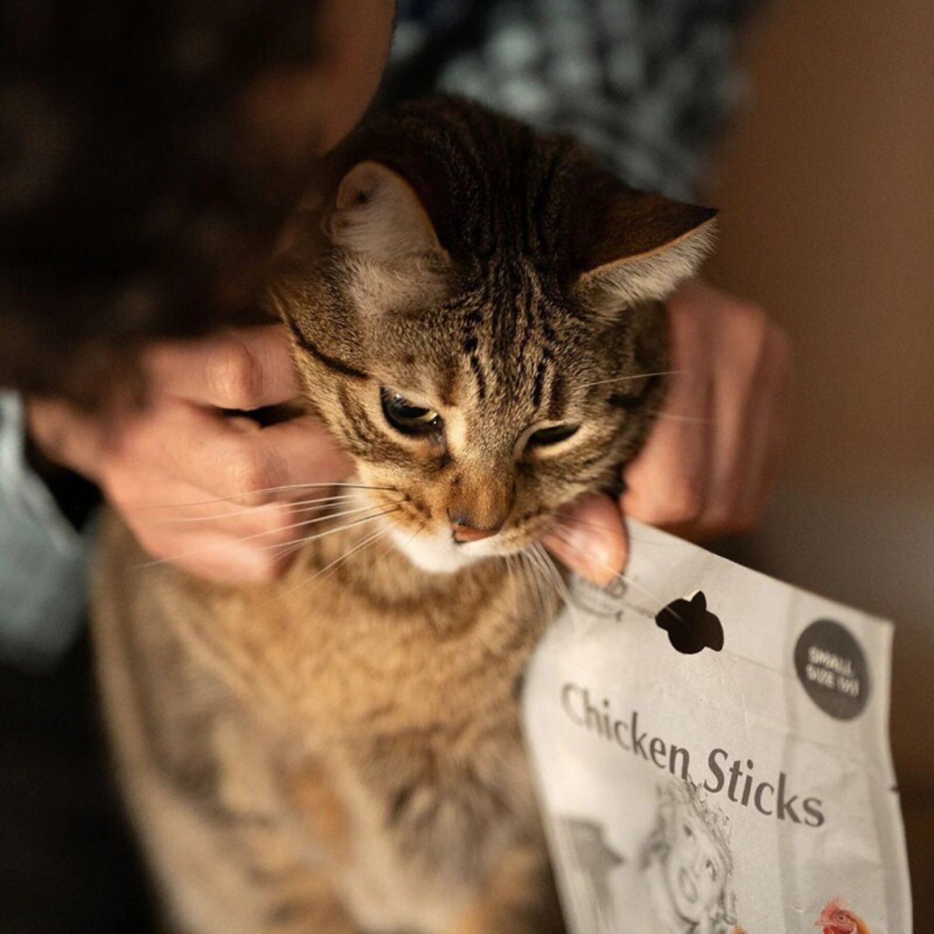 Premio Rub Stick Dental de Pollo para Gatos 100g - Small Size 1x1 - 2