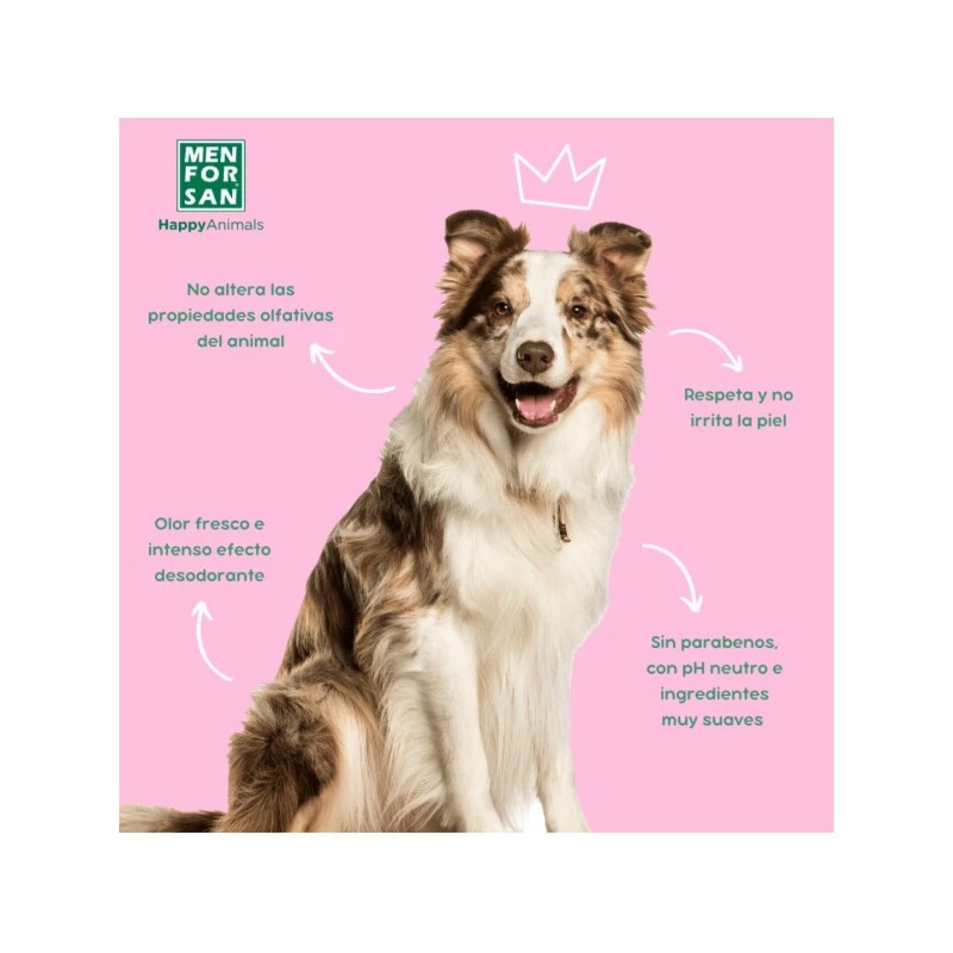 Agua de colonia para perros Floral 125ml - 3
