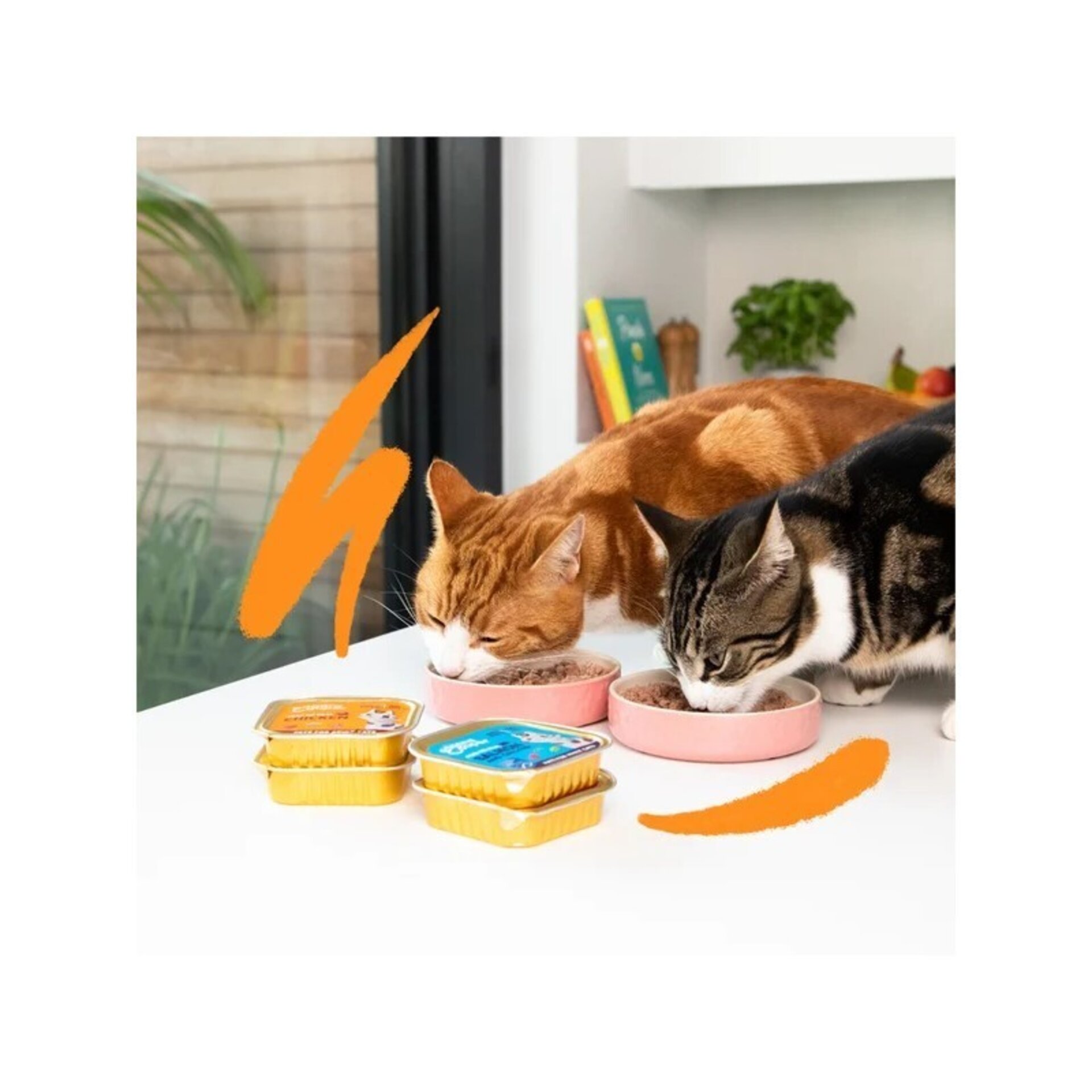 Edgard & Cooper Adult Salmón y Pollo Paté Tarrina 85 Gr para Gatos - 3