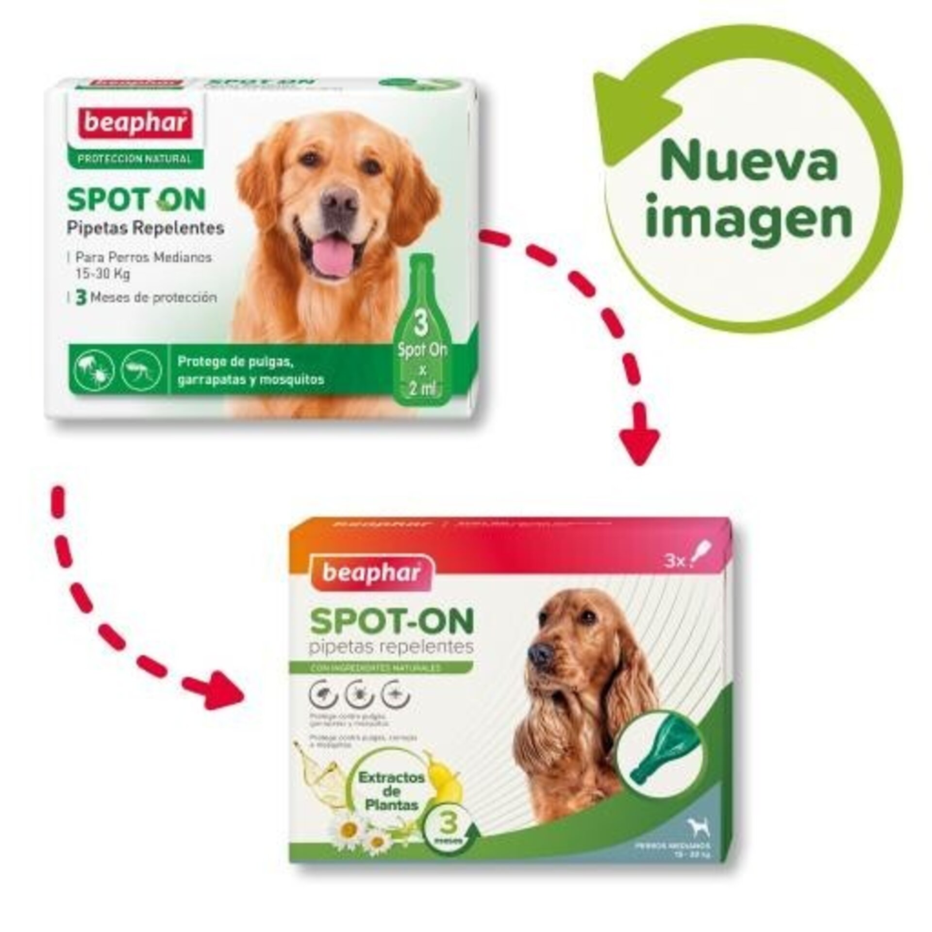 Beaphar Pipetas Antiparasitarias Raza Mediana Entre 15 y 30 Kg - 2