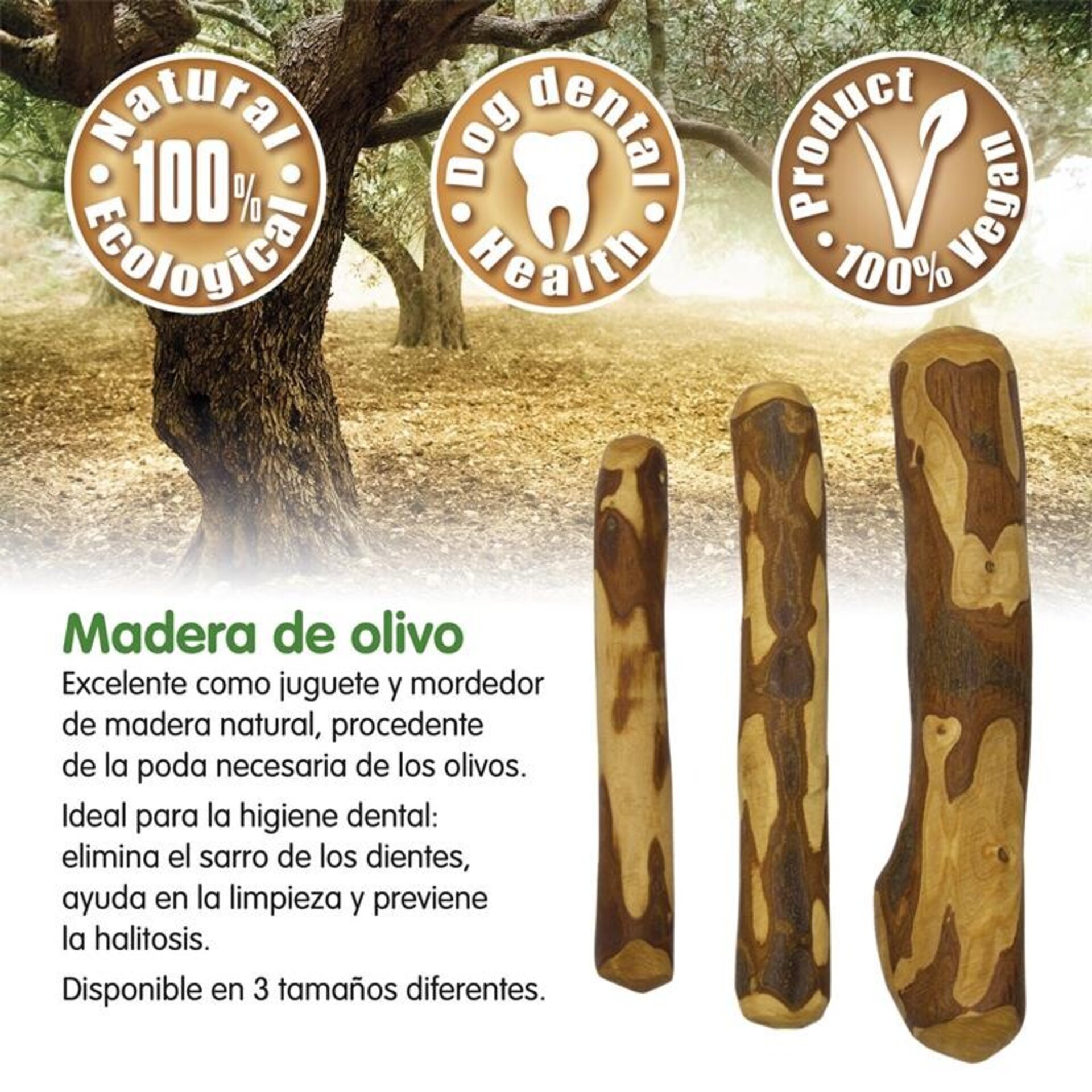 Arquivet mordedor Madera de olivo - 4