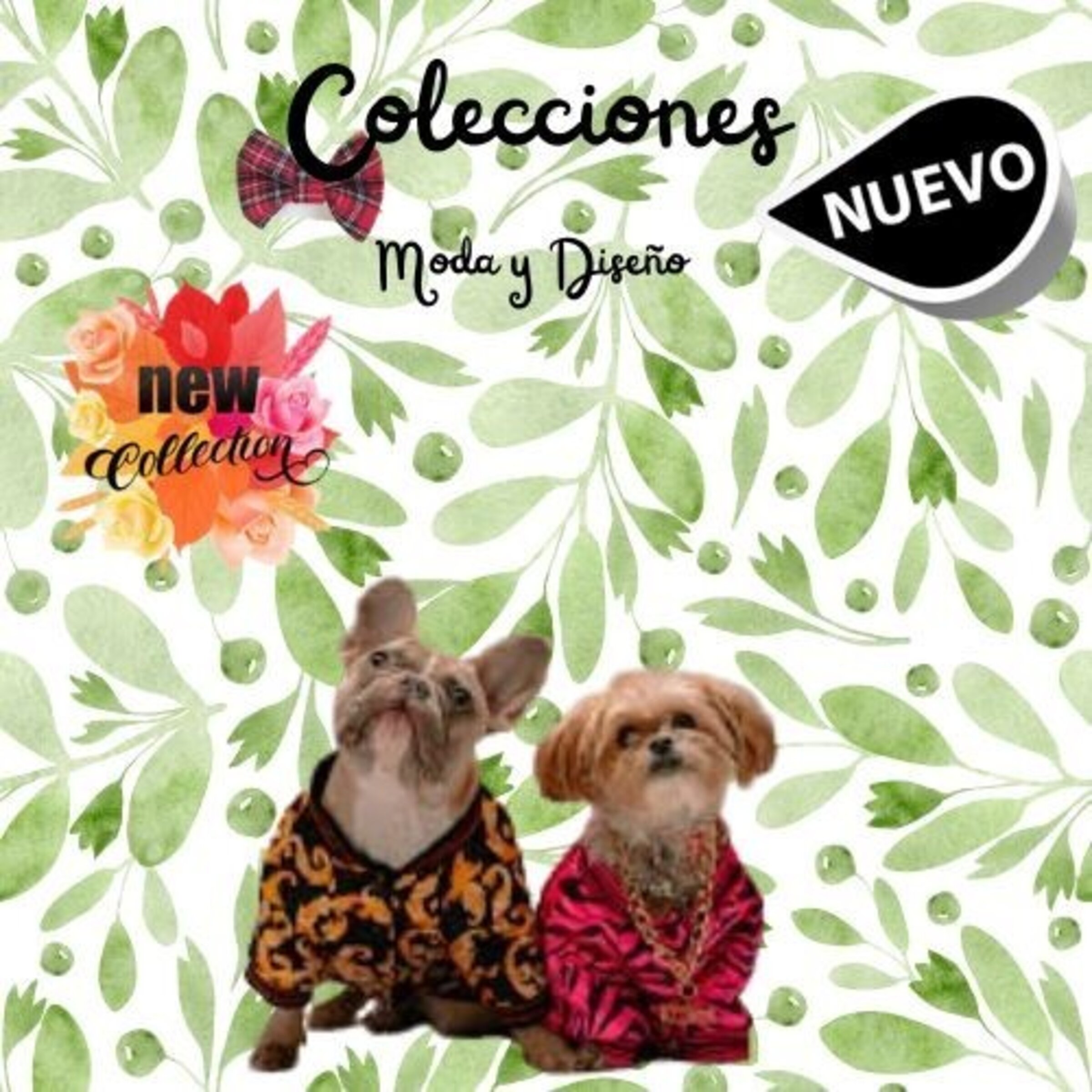 COLECCIONES